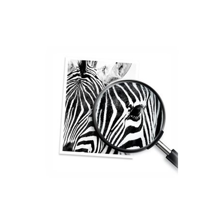 HP 912XL - High Yield - black - original - ink cartridge - for Officejet 80XX; Officejet Pro 80XX - 6