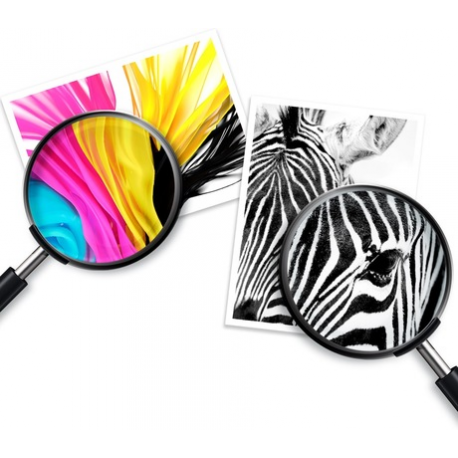 303Xl High Yield Tri-Color - 6