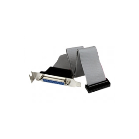 StarTech.com Low Profile 16in Parallel Port Header Cable Adapter w /  Bracket - DB25 to IDC26 Parallel Port Bracket DB-25 (F) to IDC 26 (F) (PLATE25F16LP) - Parallel panel - DB-25 (F) to 26 PIN IDC (F) - 40.64 cm - grey - 0