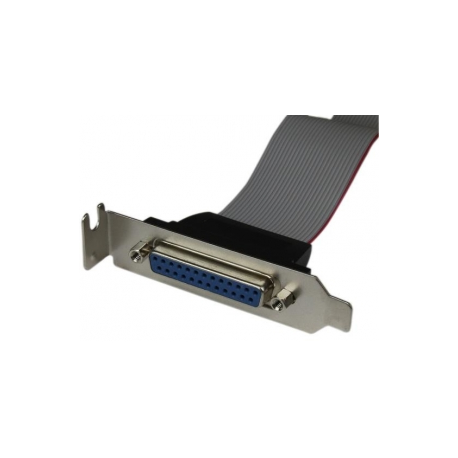 StarTech.com Low Profile 16in Parallel Port Header Cable Adapter w /  Bracket - DB25 to IDC26 Parallel Port Bracket DB-25 (F) to IDC 26 (F) (PLATE25F16LP) - Parallel panel - DB-25 (F) to 26 PIN IDC (F) - 40.64 cm - grey - 1
