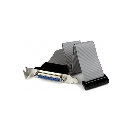 StarTech.com Low Profile 16in Parallel Port Header Cable Adapter w /  Bracket - DB25 to IDC26 Parallel Port Bracket DB-25 (F) to IDC 26 (F) (PLATE25F16LP) - Parallel panel - DB-25 (F) to 26 PIN IDC (F) - 40.64 cm - grey - 3
