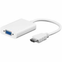 HDMI to VGA adaptor;