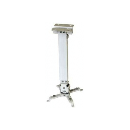 Reflecta TAPA - Mounting kit (ceiling mount, universal mount) - for projector - silver - ceiling mountable - 0