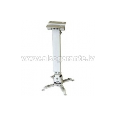 Reflecta TAPA - Mounting kit (ceiling mount, universal mount) - for projector - white - ceiling mountable - 0