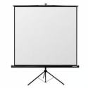Reflecta CrystalLine Tripod - Projection screen with tripod - 100" (254 cm) - 1:1 - Matt White
