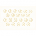 Zebra Premier Plus - Polyvinyl chloride (PVC) - 30 mil - translucent - CR-80 Card (85.6 x 54 mm) 500 card(s) cards
