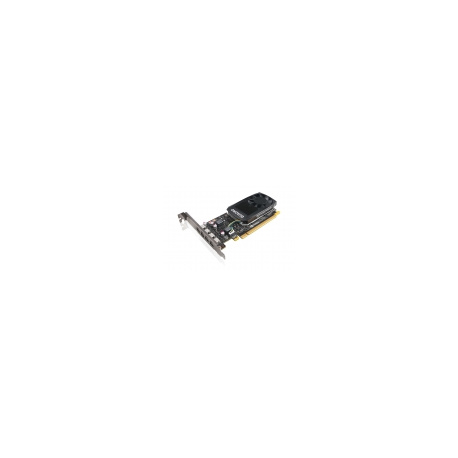 Lenovo P1000 4GB NV QUADRO GRAPHICCAR (MINI DP*4 WITH HP BRACKET F./TS IN)