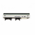 Zebra - Printhead (300 dpi) - for Zebra ZT610
