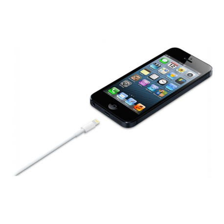 Apple - Lightning cable - Lightning male to USB male - 2 m - for iPad / iPhone / iPod (Lightning) - 2
