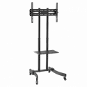 LogiLink Economy - Cart - for flat panel  /  AV equipment - solid cold pressed steel - screen size: 37"-70"