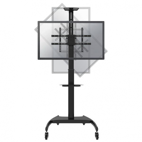 NewStar Mobile Flat Screen Floor Stand (height: 130-162 cm), 37-70", c:Black