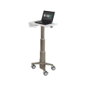 Ergotron CareFit - Cart - Slim - for notebook - aluminium, zinc-plated steel, high-grade plastic - white, warm grey - screen size: up to 17.3"