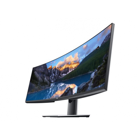 Dell UltraSharp U4919DW - LED monitor - curved - 49" - 5120 x 1440 Dual Quad HD @ 60 Hz - IPS - 350 cd / m² - 1000:1 - 5 ms - 2xHDMI, DisplayPort, USB-C - with 3 years Advanced Exchange Service - for OptiPlex 3090; Precision 7560; XPS 15 9570 - 1