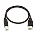 V7 - USB cable - USB (M) to USB Type B (M) - USB 2.0 - 50 cm