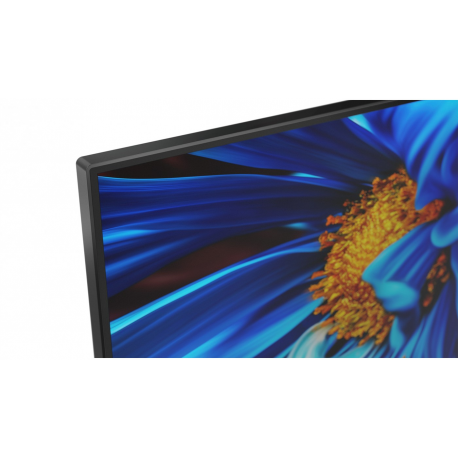 Lenovo ThinkVision S24e-10 - LED monitor - 24" (23.8" viewable) - 1920 x 1080 Full HD (1080p) @ 60 Hz - 3000:1 - 4 ms - HDMI, VGA - raven black - 11