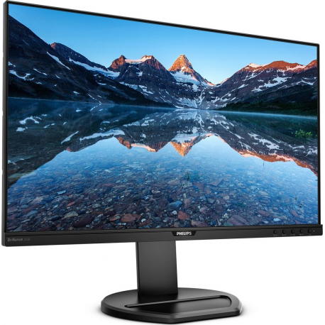 Philips B Line 252B9 - LED monitor - 25" - 1920 x 1200 WUXGA @ 60 Hz - IPS - 300 cd / m² - 1000:1 - 5 ms - HDMI, DVI-D, VGA, DisplayPort - speakers - black texture - 1