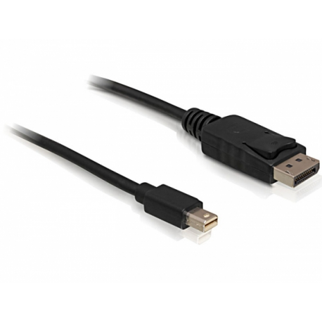 DeLOCK - DisplayPort cable - Mini DisplayPort (M) to DisplayPort (M) - 1 m - 2