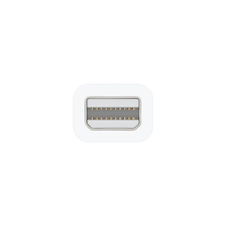 Apple Thunderbolt - FireWire Adapter