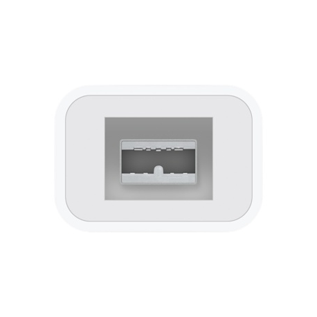 Apple Thunderbolt - FireWire Adapter