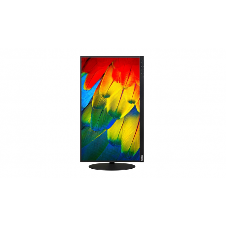 Lenovo ThinkVision T24m-10 - LED monitor - 24" (23.8" viewable) - 1920 x 1080 Full HD (1080p) - IPS - 250 cd / m² - 1000:1 - 6 ms - HDMI, DisplayPort, USB-C - raven black - 2