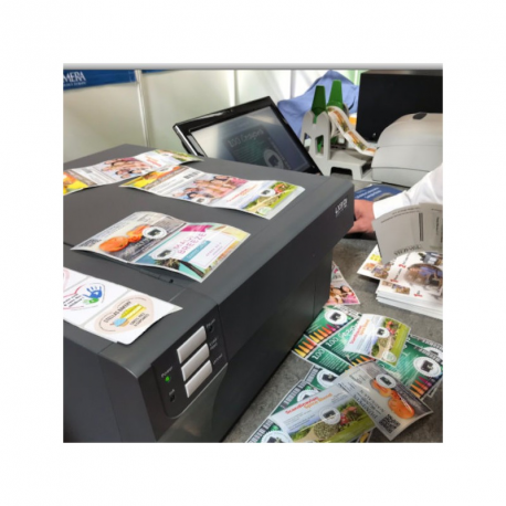 LX910E COLOR LABEL PRINTER CE