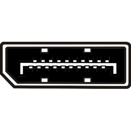 ASSMANN - DisplayPort extension cable - DisplayPort (M) to DisplayPort (F) - 2 m - molded - black - 1