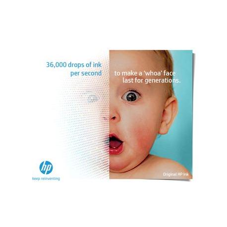 HP 300 BLACK INK CARTRIDGE