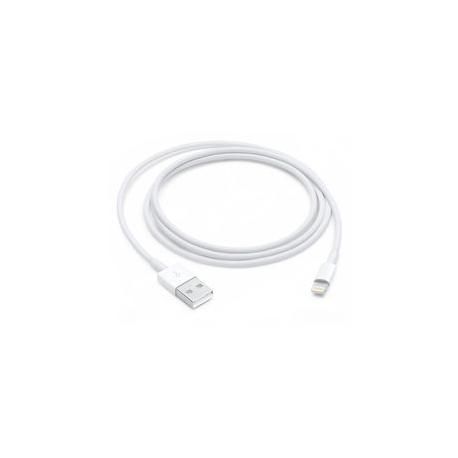 Apple - Lightning cable - Lightning male to USB male - 1 m - for iPad / iPhone / iPod (Lightning) - 0
