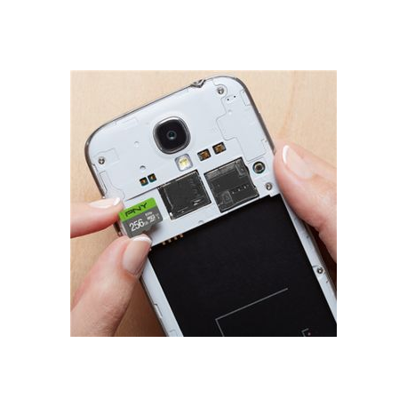 PNY Elite - Flash memory card - 256 GB - A1  /  Video Class V10  /  UHS Class 1  /  Class10 - microSDXC UHS-I - 2