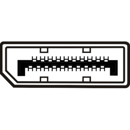 ASSMANN - DisplayPort adapter - dual link - DisplayPort (M) to DVI-D (M) - 1 m - 2