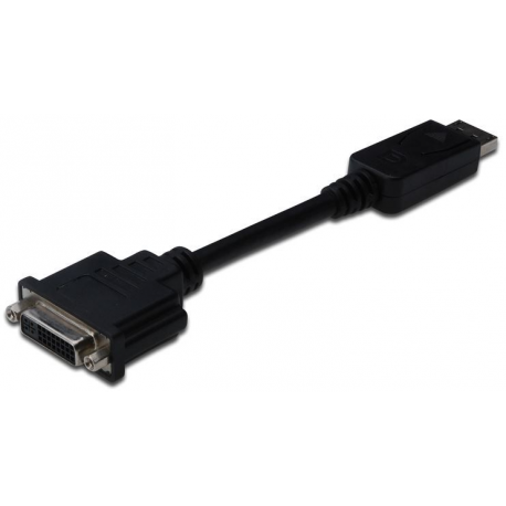 ASSMANN - DisplayPort adapter - DisplayPort (M) to DVI-D (F) - 15 cm - molded - black - 3