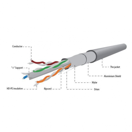 Gembird - Bulk cable - 305 m - FTP - CAT 6 - solid - grey - 1