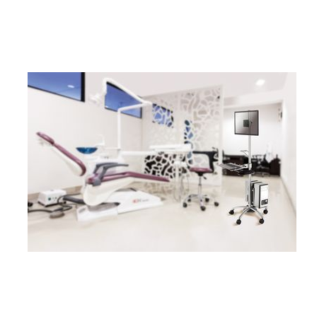 Neomounts by Newstar FPMA-MOBILE1800 - Cart - for LCD display  /  PC equipment - silver - screen size: 10"-27" - 3