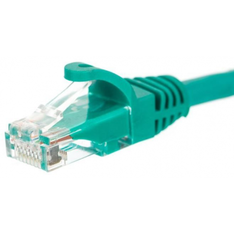Netrack - Patch cable - RJ-45 (M) to RJ-45 (M) - 25 cm - UTP - CAT 5e - molded, snagless - green - 3