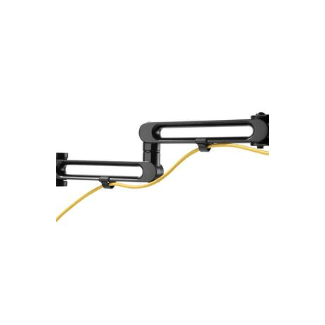 StarTech.com Desk Mount Dual Monitor 