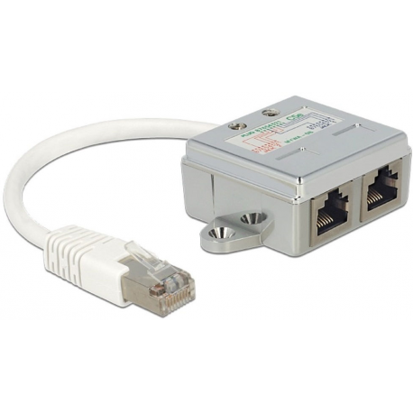 DeLOCK RJ45 Port Doubler - Ethernet 100Base-TX splitter - RJ-45 (M) to RJ-45 (4 pin) (F) - 15 cm - 2