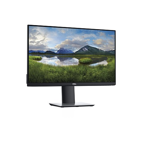 Dell 24 Professional Monitor - P2421D - 60.45cm (23.8") Black