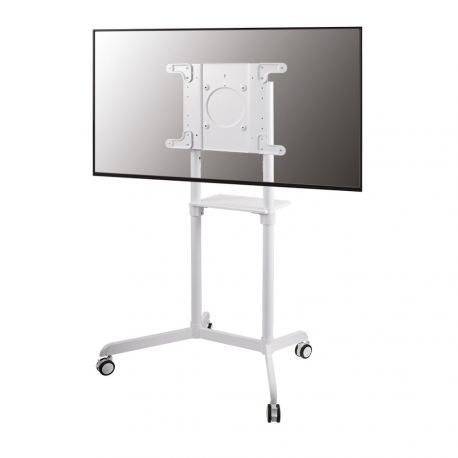 Neomounts by Newstar NS-M1250 - Cart - for flat panel - white - screen size: 37"-70" - 30