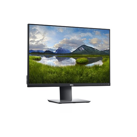 Dell P2421 - LED monitor - 24.1
