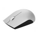Lenovo 520 - Mouse - right and left-handed - optical - 3 buttons - wireless - 2.4 GHz - USB wireless receiver - platinum - for IdeaCentre AIO 3 22; IdeaPad 3 CB 11; S740-15; Legion S7 15; ThinkBook 14s G2 ITL
