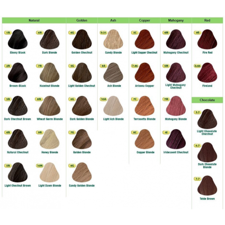 Screenor Ecocase - Back cover for mobile phone - bio plastic - blueberry blue - for Apple iPhone 11 - 1