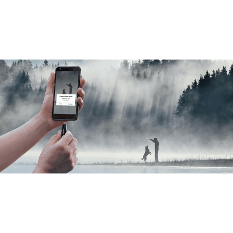 SanDisk Ultra Dual Drive Go - USB flash drive - 32 GB - USB 3.1 Gen 1  /  USB-C - 18