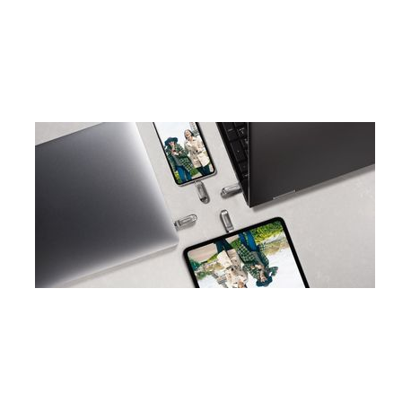 SanDisk Ultra Dual Drive Luxe - USB flash drive - 1 TB - USB 3.1 Gen 1 / USB-C - 7