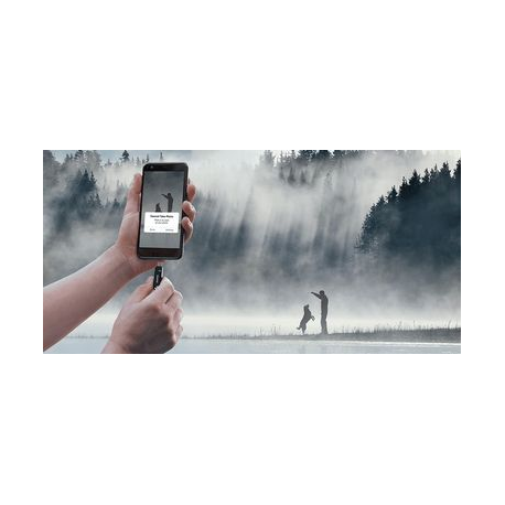 SanDisk Ultra Dual Drive Go - USB flash drive - 64 GB - USB 3.1 Gen 1 / USB-C - 6