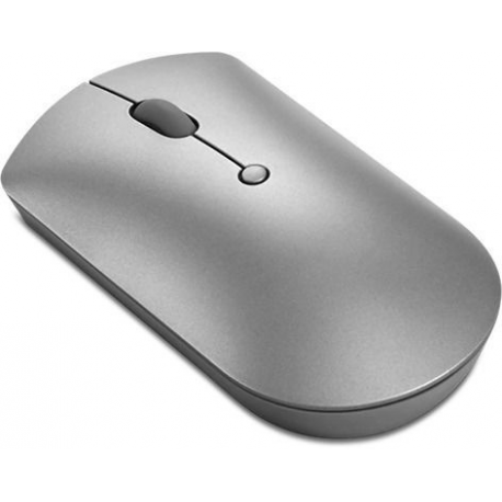 Lenovo 600 Silent - Mouse - right and left-handed - blue optical - 3 buttons - wireless - Bluetooth 5.0 - iron grey - retail - for ThinkCentre M80t Gen 3; ThinkCentre neo 50; ThinkPad T14s Gen 3; V50t Gen 2-13 - 1