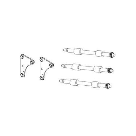 Zebra - Kit feed rollers (pack of 3) - 3