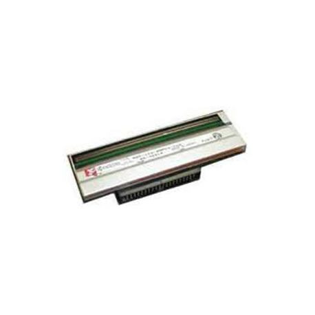 Zebra - 300 dpi - printhead - for Zebra ZT220, ZT230 - 2