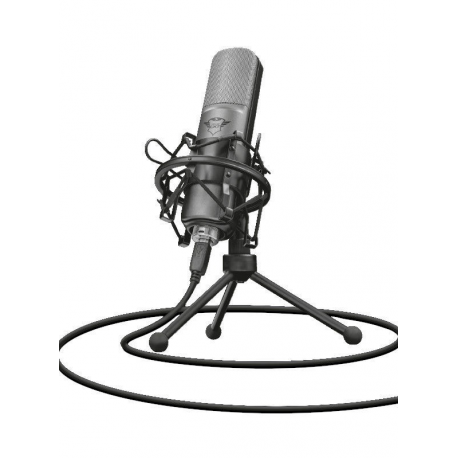 MICROPHONE GXT 242 LANCE/22614 TRUST