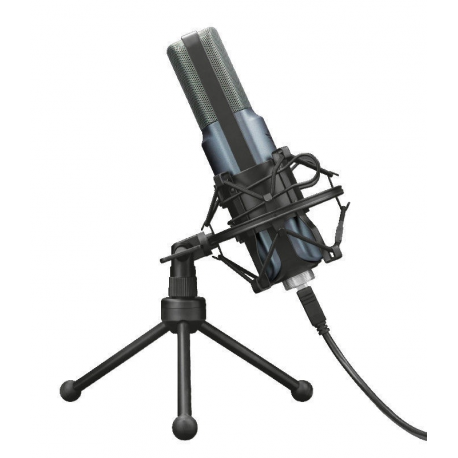 MICROPHONE GXT 242 LANCE/22614 TRUST