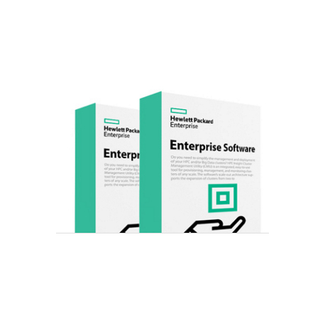 HPE StoreEver KMIP Key Manager Client - Licence - 1 library - ESD - 2